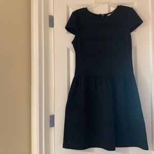 Shirt sleeve knit fit and flare dress